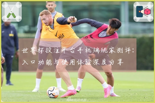 世界杯投注平台手机端玩家测评：入口功能与使用体验深度分享