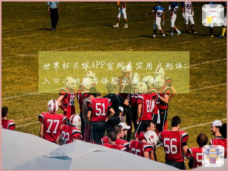 世界杯买球APP官网真实用户测评:入口、功能与体验全面介绍