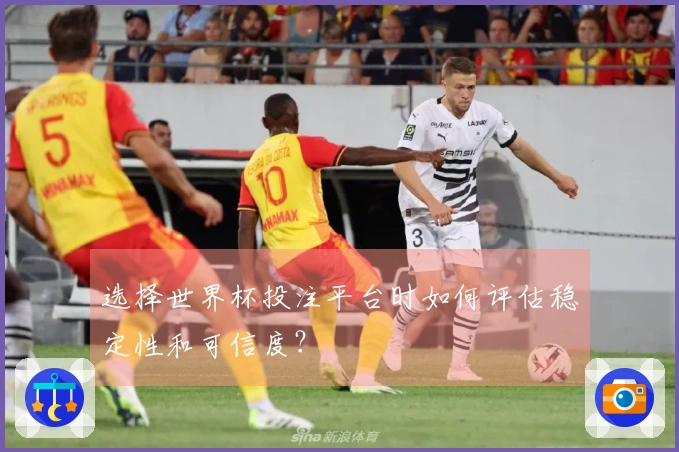选择世界杯投注平台时如何评估稳定性和可信度？
