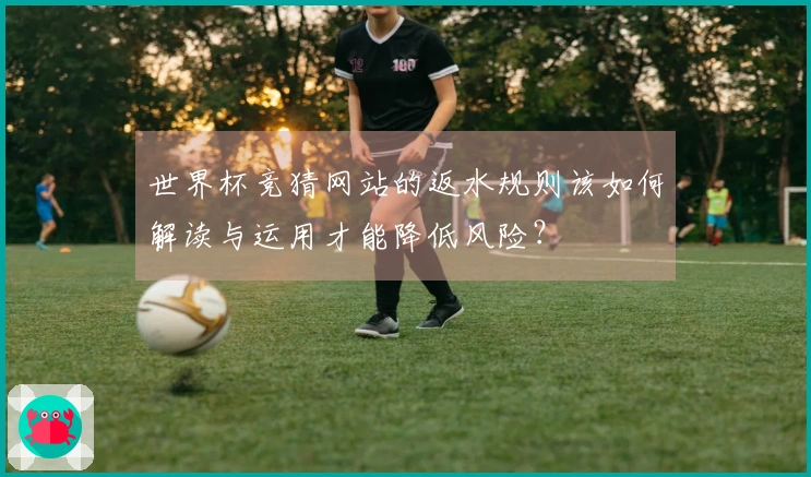 世界杯竞猜网站的返水规则该如何解读与运用才能降低风险？