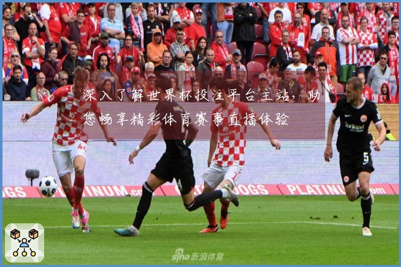 深入了解世界杯投注平台主站，助您畅享精彩体育赛事直播体验