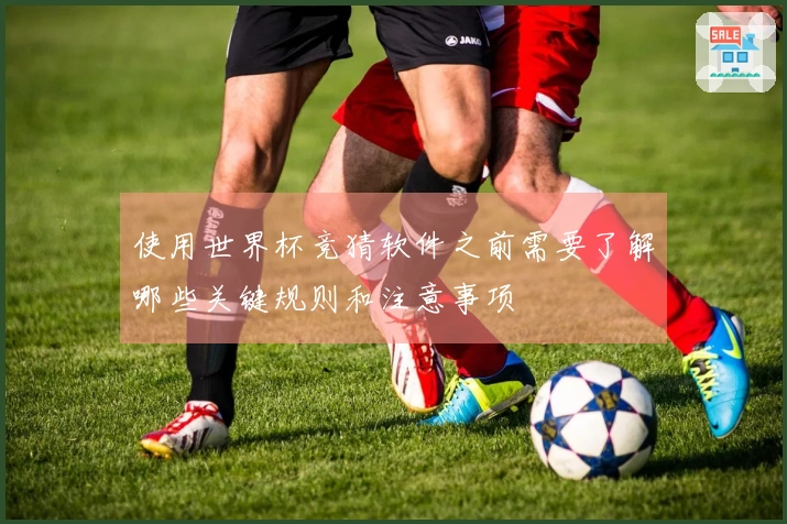 使用世界杯竞猜软件之前需要了解哪些关键规则和注意事项