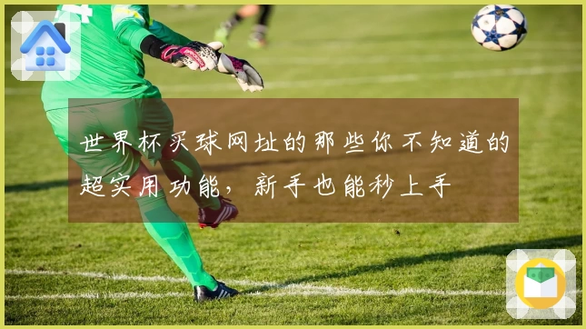 世界杯买球网址的那些你不知道的超实用功能，新手也能秒上手