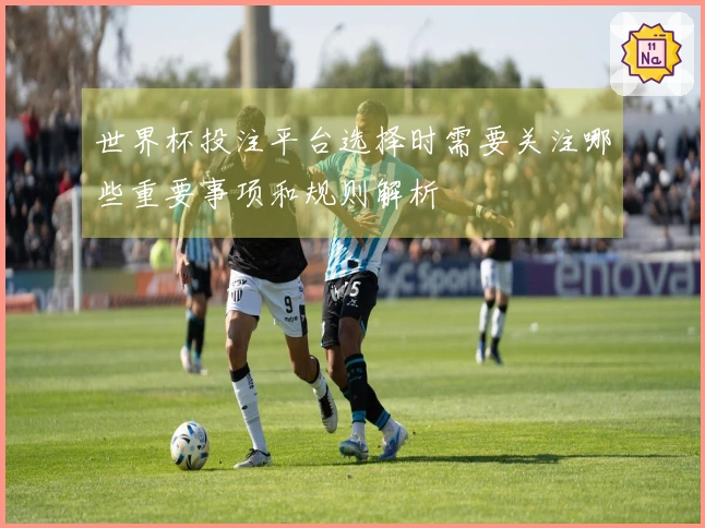 世界杯投注平台选择时需要关注哪些重要事项和规则解析