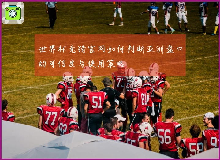 世界杯竞猜官网如何判断亚洲盘口的可信度与使用策略