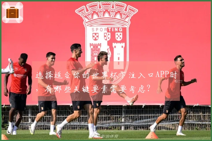 选择适合你的世界杯下注入口APP时，有哪些关键要素需要考虑？