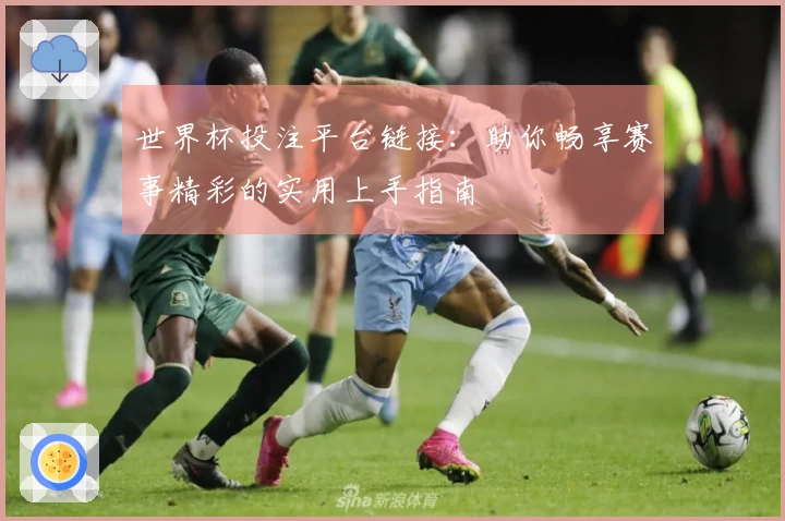 世界杯投注平台链接：助你畅享赛事精彩的实用上手指南