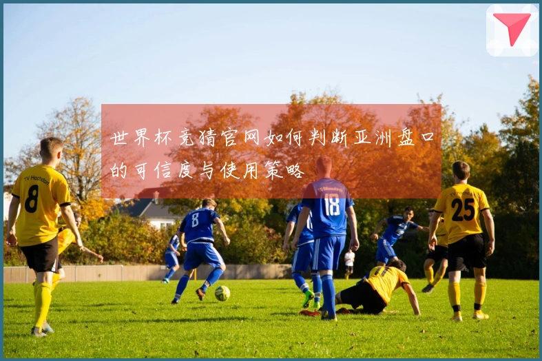 世界杯竞猜官网如何判断亚洲盘口的可信度与使用策略