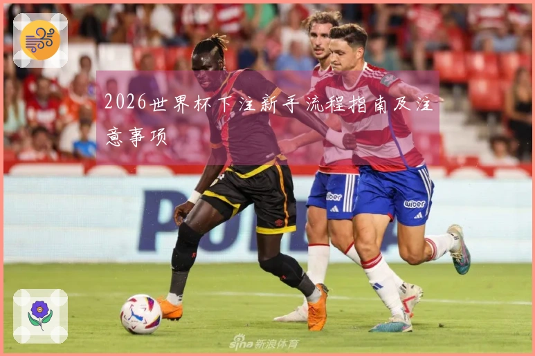 2026世界杯下注新手流程指南及注意事项