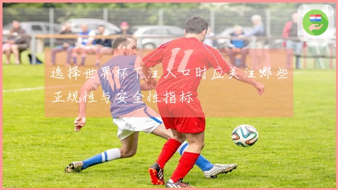 选择世界杯下注入口时应关注哪些正规性与安全性指标