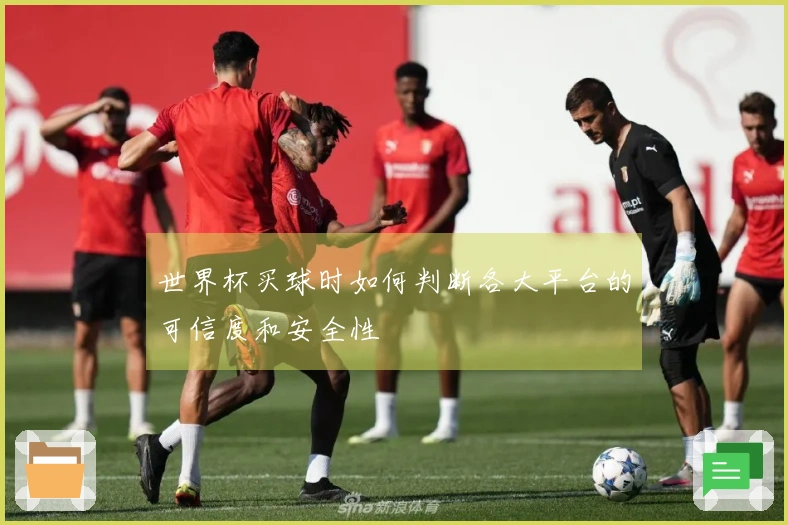 世界杯买球时如何判断各大平台的可信度和安全性