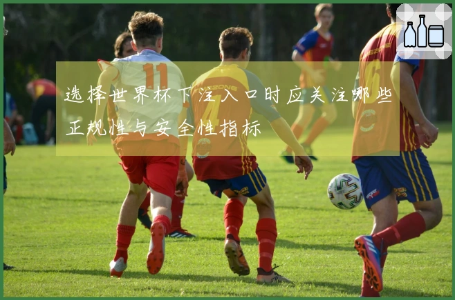 选择世界杯下注入口时应关注哪些正规性与安全性指标