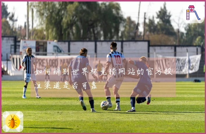 如何辨别世界杯竞猜网站的官方投注渠道是否可靠