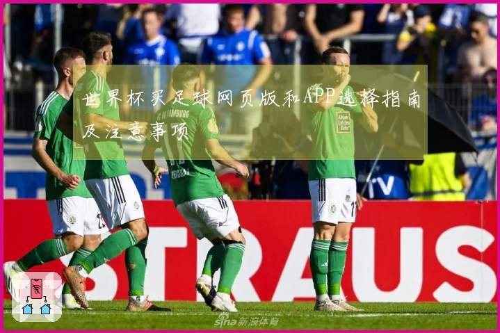 世界杯买足球网页版和APP选择指南及注意事项