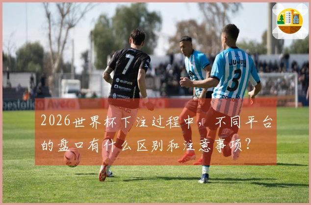 2026世界杯下注过程中，不同平台的盘口有什么区别和注意事项？