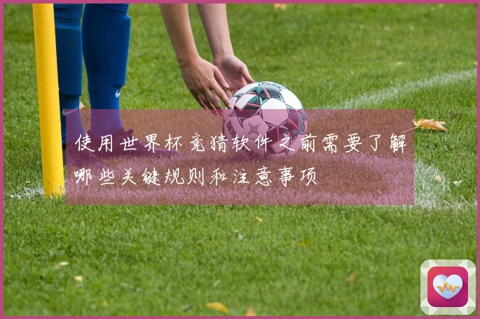 使用世界杯竞猜软件之前需要了解哪些关键规则和注意事项