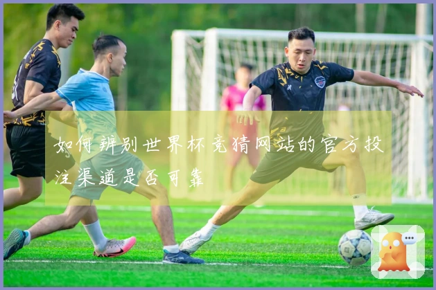 如何辨别世界杯竞猜网站的官方投注渠道是否可靠