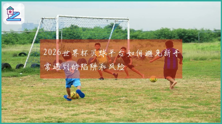 2026世界杯买球平台如何避免新手常遇到的陷阱和风险