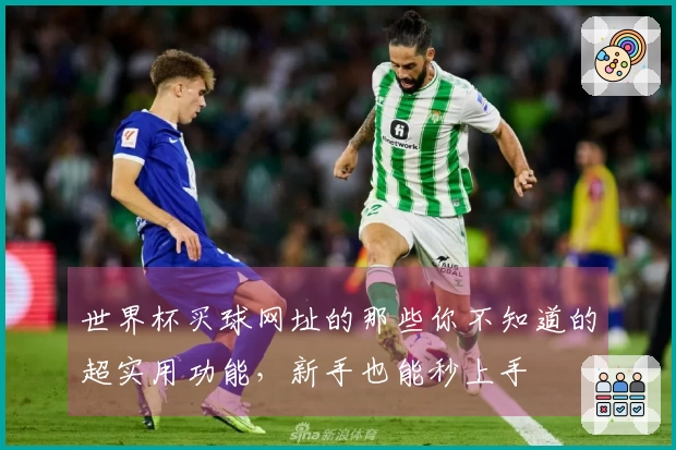 世界杯买球网址的那些你不知道的超实用功能,新手也能秒上手