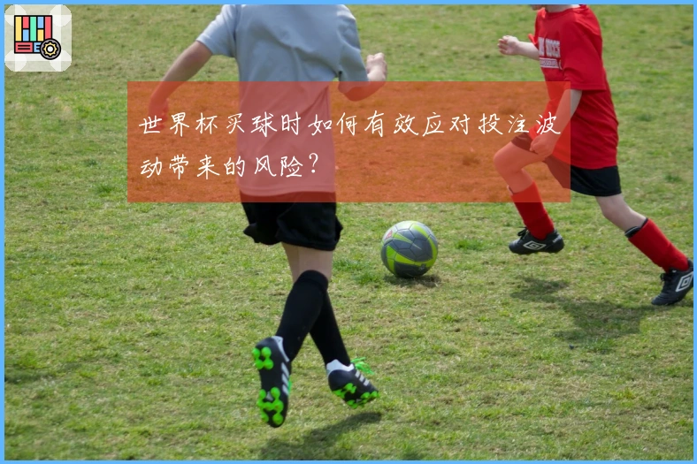 世界杯买球时如何有效应对投注波动带来的风险？